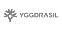 Visa partner logo